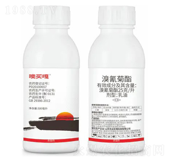 25��ÿ�������������-���I��-�|�h����