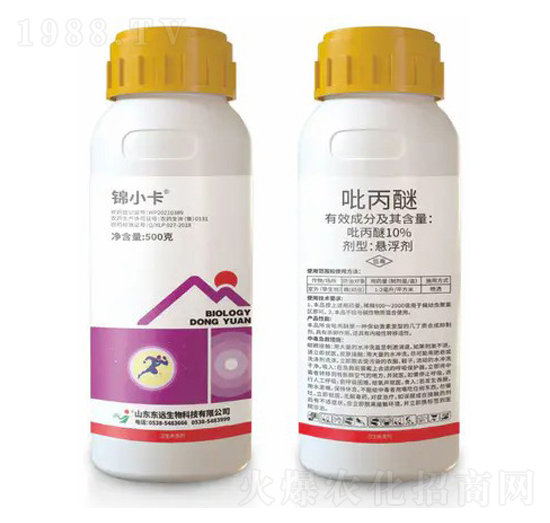 10%�����ёҸ���-�\С��-�|�h(yu��n)����