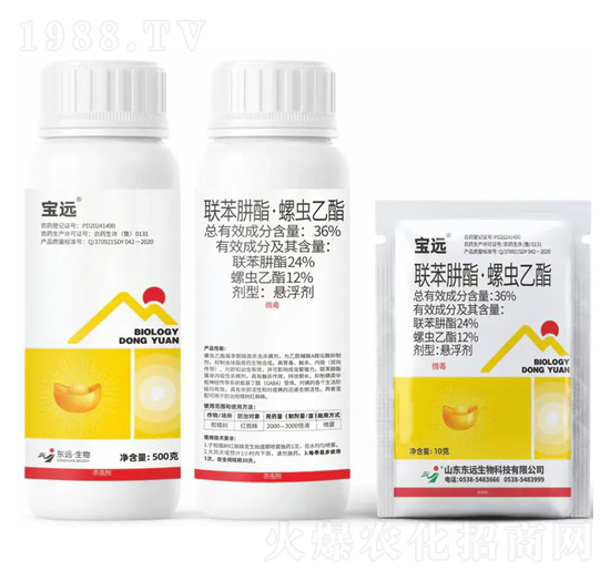 36%�����������x�����Ҹ���-���h-�|�h����