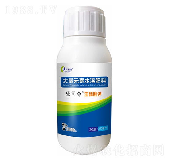 �������-��(l��)˾��-����¡����