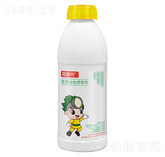 ��ѿ�ֻ��T��(d��o)��-���W��-�ع�������