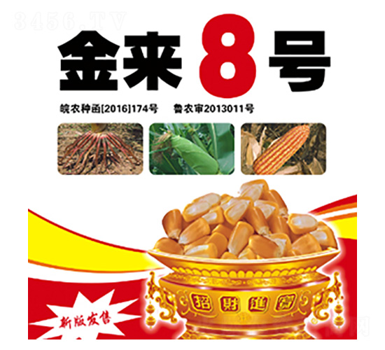 ����8̖(h��o)-���S�N�I(y��)