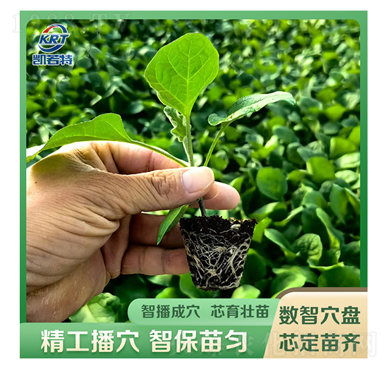 ����-�P����