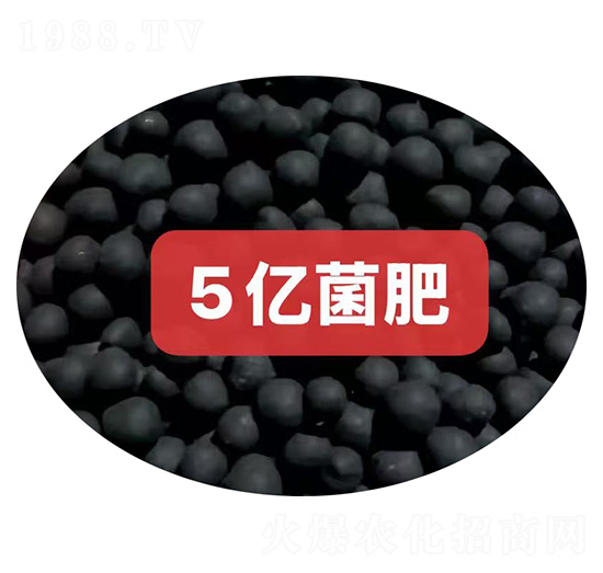 5�|�����w��-��M�}