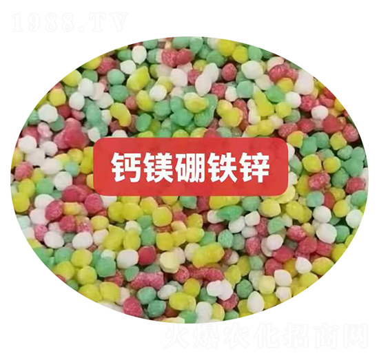 �}�V���F�\�w��-��M�}(c��ng)