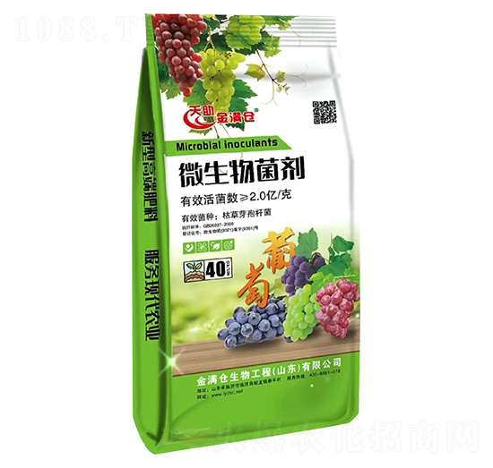 40kg΢�������-��M�}(c��ng)