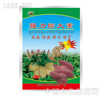 ��(r��n)��-��(qi��ng)�������