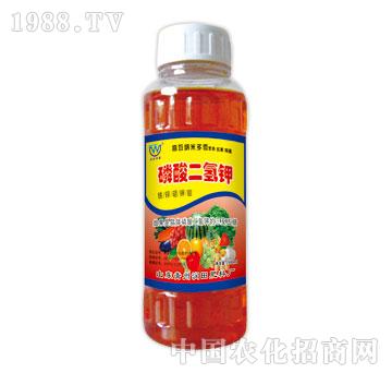 ����-��������