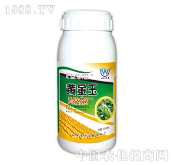 ����-�S����