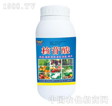 ����-������