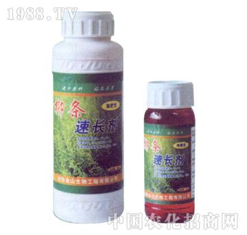 ��ɽ����-���l���L����ƿ��