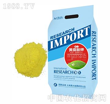 進口黃腐酸鉀-北美農(nóng)大