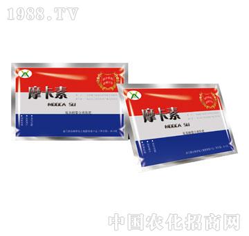 ����������Һ�ķʣ����b��-Ħ����-��(qi��ng)о���H