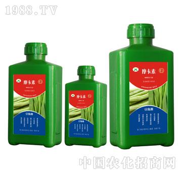 ���ǌ��ð���������Һ�ķ�-Ħ����-��(qi��ng)о���H