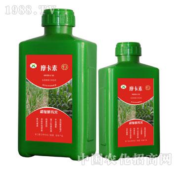 ������ˎ������������Һ�ķ�-Ħ����-��(qi��ng)о���H