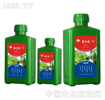 ��ɣ���ð���������Һ�ķ�-Ħ����-��(qi��ng)о���H