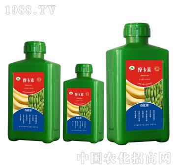 �㽶���ð���������Һ�ķ�-Ħ����-��(qi��ng)о���H