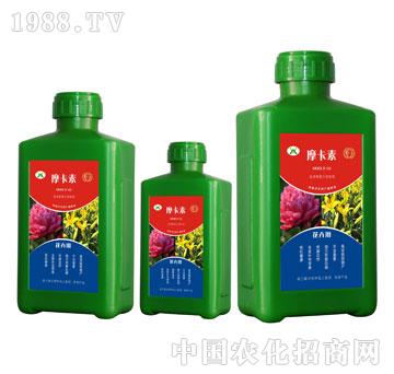 ���܌��ð���������Һ�ķ�-Ħ����-��(qi��ng)о���H