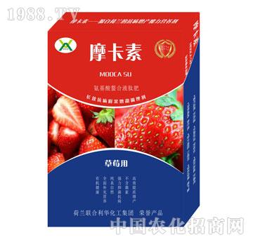 ��ݮ���ð���������Һ�ķ�-Ħ����-��(qi��ng)о���H