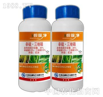 20%����������-������-����