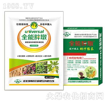 ��ˎ�Č���-ȫ���ֶ�-���