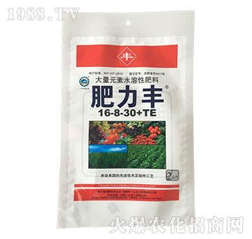 大量元素水溶肥料16-8-30+TE-肥力豐-一心化工