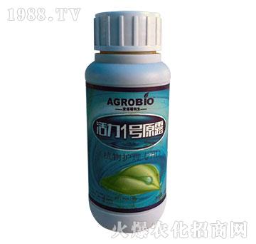 ����1̖ԭ¶-һ�Ļ���