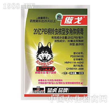 20�|PIB����x(ch��ng)���Ͷ���w����-����-���_(d��)����