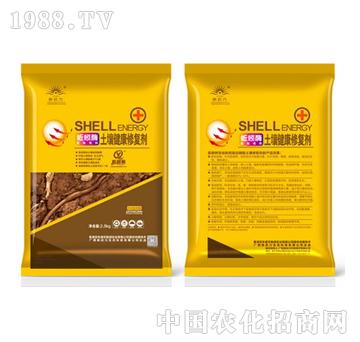 ���ø���������ޏ�(f��)��-����1