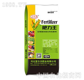 ������w�����ЙC����40kg-������-������