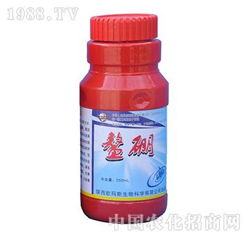 ����-�W��˹