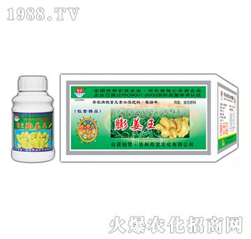 200g����-�挚�r��