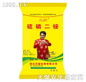 ������@-����-ïʢ