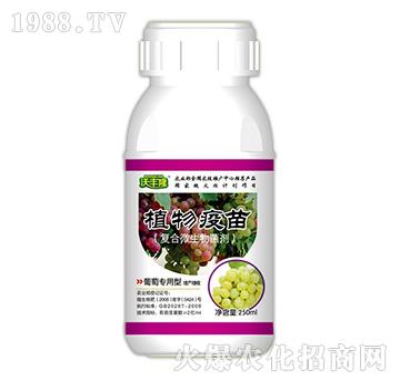 ֲ�����磨���ь����ͣ�-���S¡-��(qi��ng)