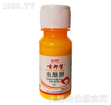 20%�x���Ҹ���-ɶ����-�읙����