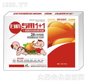 �׷ی�(zhu��n)��1+1-���S��-��ķɭ