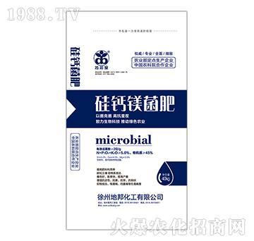 ���}�V����-�ذ�Ȫ