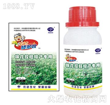 �޻��������a����-������-�r�_����