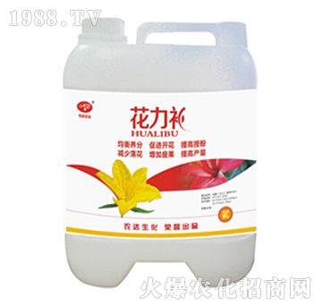 �����a-�r�_����