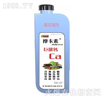 �����}-Ħ����-��(qi��ng)о���H