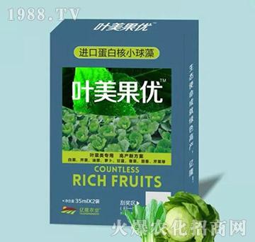 �~������{��(ji��)��-�~������(y��u)-�|¡�r�I(y��)