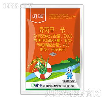 20%�����ס��S-�e��-�h(yu��n)Ҋ(ji��n)�r(n��ng)�I(y��)