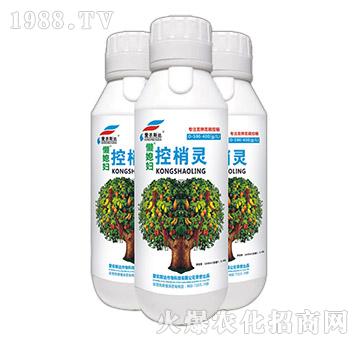 ��⛸��׿����`-��ϱ�D-���r(n��ng)˹�_(d��)