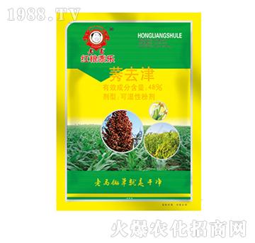 ݬȥ��-���R�t�Z��(l��)-�����r(n��ng)�I(y��)