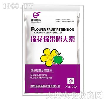 �������������-ʢ���߿�