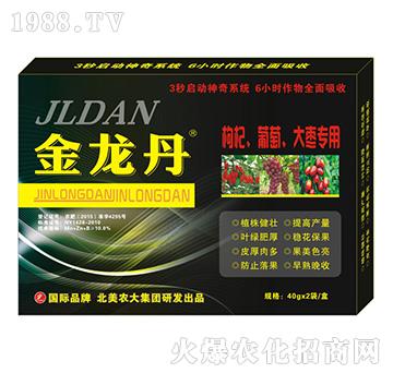 ������-������������󗗌���-�����r(n��ng)��