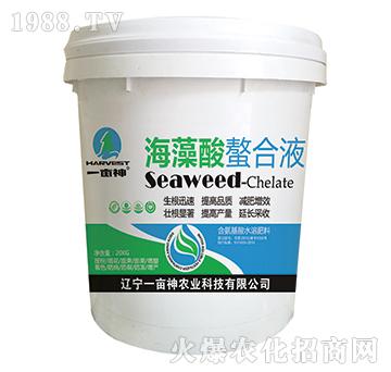 ����������Һ-һ����