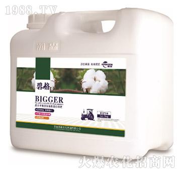 �޻����ø߷��ӏ�(f��)�����ЙC(j��)����Һ�ʣ�5kg��-�̸�-�ɭ�r(n��ng)�I(y��)