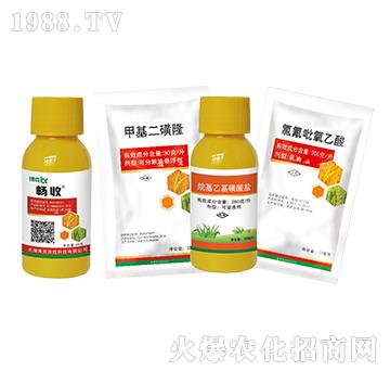 2甲·雙氟+甲基二磺隆+烷基乙基磺酸鹽+氯氟吡氧乙酸-博克百勝