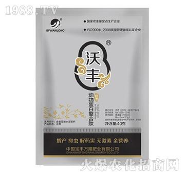 ��(d��ng)�ﵰ��������-���S�f¡